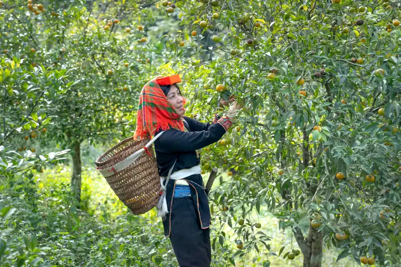 射频模块选型指南：通信设备制造中的关键参数与匹配方案